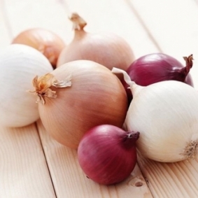 Cebolas